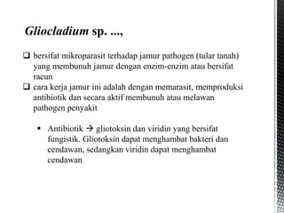  bersifat mikroparasit terhadap jamur pathogen (tular tanah)
yang membunuh jamur dengan enzim-enzim atau bersifat
racun
 cara kerja jamur ini adalah dengan memarasit, memproduksi
antibiotik dan secara aktif membunuh atau melawan
pathogen penyakit
 Antibiotik  gliotoksin dan viridin yang bersifat
fungistik. Gliotoksin dapat menghambat bakteri dan
cendawan, sedangkan viridin dapat menghambat
cendawan
Gliocladium sp. ...,
 
