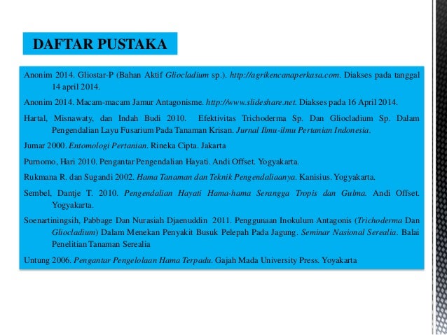 Cendawan Gliocladium sp.