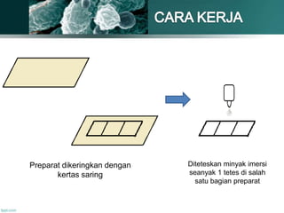 Preparat dikeringkan dengan
kertas saring
Diteteskan minyak imersi
seanyak 1 tetes di salah
satu bagian preparat
 
