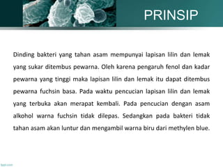 PRINSIP
Dinding bakteri yang tahan asam mempunyai lapisan lilin dan lemak
yang sukar ditembus pewarna. Oleh karena pengaruh fenol dan kadar
pewarna yang tinggi maka lapisan lilin dan lemak itu dapat ditembus
pewarna fuchsin basa. Pada waktu pencucian lapisan lilin dan lemak
yang terbuka akan merapat kembali. Pada pencucian dengan asam
alkohol warna fuchsin tidak dilepas. Sedangkan pada bakteri tidak
tahan asam akan luntur dan mengambil warna biru dari methylen blue.
 