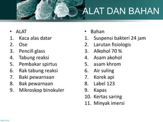 ALAT DAN BAHAN
• ALAT
1. Kaca alas datar
2. Ose
3. Pencill glass
4. Tabung reaksi
5. Pembakar spirtus
6. Rak tabung reaksi
7. Baki pewarnaan
8. Bak pewarnaan
9. Mikroskop binokuler
• Bahan
1. Suspensi bakteri 24 jam
2. Larutan fisiologis
3. Alkohol 70 %
4. Asam akohol
5. asam khrom
6. Air suling
7. Korek api
8. Label 123
9. Kapas
10. Kertas saring
11. Minyak imersi
 