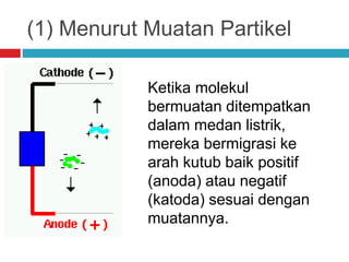 (1) Menurut Muatan Partikel
Ketika molekul
bermuatan ditempatkan
dalam medan listrik,
mereka bermigrasi ke
arah kutub baik positif
(anoda) atau negatif
(katoda) sesuai dengan
muatannya.
 