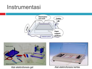 Instrumentasi
Catho
de
Electrophor
esis tank
Paper
support
medium
Alat elektroforesis gel Alat elektroforesis kertas
 
