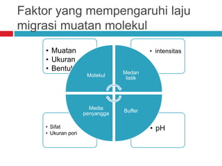 Faktor yang mempengaruhi laju
migrasi muatan molekul
• pH• Sifat
• Ukuran pori
• intensitas• Muatan
• Ukuran
• Bentuk
Molekul
Medan
listik
Buffer
Media
penyangga
 