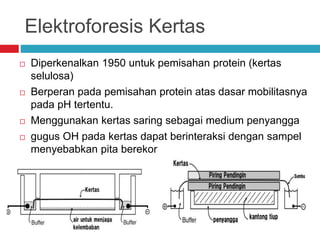 Elektroforesis Kertas
 Diperkenalkan 1950 untuk pemisahan protein (kertas
selulosa)
 Berperan pada pemisahan protein atas dasar mobilitasnya
pada pH tertentu.
 Menggunakan kertas saring sebagai medium penyangga
 gugus OH pada kertas dapat berinteraksi dengan sampel
menyebabkan pita berekor
 