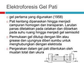 Elektroforesis Gel Pati
 gel pertama yang digunakan (1958)
 Pati kentang dipanaskan hingga menjadi
campuran homogen dan transparan. Larutan
panas diletakkan pada cetakan dan dibiarkan
pada suhu ruang hingga menjadi gel semisolid
 Permukaan gel ditutup dengan lilin atau
grease dan ujungnya diberi sumbu untuk
menghubungkan dengan elektroda
 Pergerakan dalam gel pati ditentukan oleh
muatan total dan ukuran molekul
 