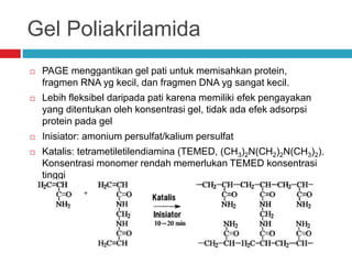 Gel Poliakrilamida
 PAGE menggantikan gel pati untuk memisahkan protein,
fragmen RNA yg kecil, dan fragmen DNA yg sangat kecil.
 Lebih fleksibel daripada pati karena memiliki efek pengayakan
yang ditentukan oleh konsentrasi gel, tidak ada efek adsorpsi
protein pada gel
 Inisiator: amonium persulfat/kalium persulfat
 Katalis: tetrametiletilendiamina (TEMED, (CH3)2N(CH2)2N(CH3)2).
Konsentrasi monomer rendah memerlukan TEMED konsentrasi
tinggi
 