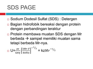 SDS PAGE
 Sodium Dodesil Sulfat (SDS) : Detergen
 Bagian hidrofobik bereaksi dengan protein
dengan perbandingan teraktur
 Protein membawa muatan SDS dengan Mr
berbeda  sampel memiliki muatan sama
tetapi berbeda Mr-nya.
 U=
𝑧𝑒
6𝜋𝜂
3𝑀𝑟.𝑉
4𝜋𝑁𝑜
−1
3
= kz𝑀𝑟
−1
3
 