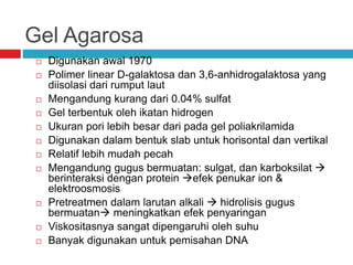 Gel Agarosa
 Digunakan awal 1970
 Polimer linear D-galaktosa dan 3,6-anhidrogalaktosa yang
diisolasi dari rumput laut
 Mengandung kurang dari 0.04% sulfat
 Gel terbentuk oleh ikatan hidrogen
 Ukuran pori lebih besar dari pada gel poliakrilamida
 Digunakan dalam bentuk slab untuk horisontal dan vertikal
 Relatif lebih mudah pecah
 Mengandung gugus bermuatan: sulgat, dan karboksilat 
berinteraksi dengan protein efek penukar ion &
elektroosmosis
 Pretreatmen dalam larutan alkali  hidrolisis gugus
bermuatan meningkatkan efek penyaringan
 Viskositasnya sangat dipengaruhi oleh suhu
 Banyak digunakan untuk pemisahan DNA
 