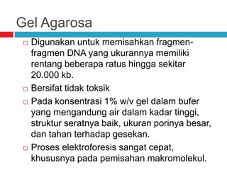Gel Agarosa
 Digunakan untuk memisahkan fragmen-
fragmen DNA yang ukurannya memiliki
rentang beberapa ratus hingga sekitar
20.000 kb.
 Bersifat tidak toksik
 Pada konsentrasi 1% w/v gel dalam bufer
yang mengandung air dalam kadar tinggi,
struktur seratnya baik, ukuran porinya besar,
dan tahan terhadap gesekan.
 Proses elektroforesis sangat cepat,
khususnya pada pemisahan makromolekul.
 