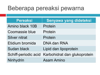 Beberapa pereaksi pewarna
Pereaksi Senyawa yang dideteksi
Amino black 10B Protein
Coomassie blue Protein
Silver nitrat Protein
Etidium bromida DNA dan RNA
Sudan black Lipid dan lipoprotein
Schiff-periodic acid Karbohidrat dan glukoprotein
Ninhydrin Asam Amino
 