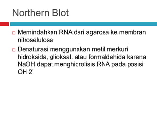Northern Blot
 Memindahkan RNA dari agarosa ke membran
nitroselulosa
 Denaturasi menggunakan metil merkuri
hidroksida, glioksal, atau formaldehida karena
NaOH dapat menghidrolisis RNA pada posisi
OH 2’
 