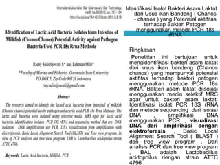 Identifikasi Isolat Bakteri Asam Laktat
dari Usus ikan Bandeng ( Chanos
- chanos ) yang Potensial aktifitas
terhadap Bakteri Patogen
menggunakan metode PCR 18s
rRNA
Ringkasan
Penelitian ini bertujuan untuk
mengidentifikasi bakteri asam laktat
dari usus ikan bandeng (Chanos
chanos) yang mempunyai potensial
aktifitas terhadap bakteri patogen
menggunakan metode PCR 18s
rRNA. Bakteri asam laktat diisolasi
menggunakan media selektif MRS
agar untuk bakteri asam laktat.
Identifikasi isolat PCR 18S rRNA
dan metode sequencing dari isolasi
DNA , amplifikasi DNA
menggunakan PCR , visualizasi
DNA dari amplifikasi dengan
elektroforesis , Basic Local
Alignment Search Tool ( BLAST )
dan tree view program . Dari
analisis PCR dan tree view program
, BAL adalah Lactobacillus
acidophilus dengan strain ATTC
4796 .
 