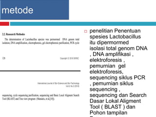  penelitian Penentuan
spesies Lactobacillus
itu dipermormed
isolasi total genom DNA
, DNA amplifikasi ,
elektroforesis ,
pemurnian gel
elektroforesis,
sequencing siklus PCR
, pemurnian siklus
sequencing ,
sequencing dan Search
Dasar Lokal Aligment
Tool ( BLAST ) dan
Pohon tampilan
 