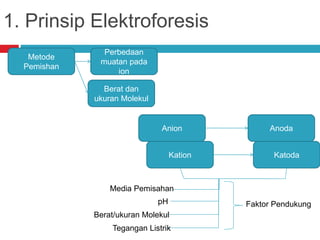 1. Prinsip Elektroforesis
Metode
Pemishan
Anion
Kation
Perbedaan
muatan pada
ion
Anoda
Katoda
Media Pemisahan
pH
Berat/ukuran Molekul
Tegangan Listrik
Faktor Pendukung
Berat dan
ukuran Molekul
 