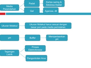 Media
Perpindahan
Padat
Gel
Kertas saring &
Selulosa Asetat
Agarosa, dll
pH Buffer
Mempertaankan
pH
Ukuran Molekul
Ukuran Molekul harus sesuai dengan
besar pori pada media perindahan
Tegangan
Listrik
Proses
Elektroforesis
Pengontrolan Arus
 