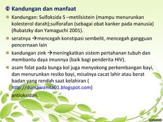 Kandungan dan manfaat
Kandungan: Sulfoksida S –metilsistein (mampu menurunkan
kolesterol darah);sulforafan (sebagai obat kanker pada manusia)
(Rubatzky dan Yamaguchi 2001).
seratnya mencegah konstipasi sembelit, mencegah gangguan
pencernaan lain
kandungan zink meningkatkan sistem pertahanan tubuh dan
membantu daya imunnya (baik bagi penderita HIV).
asam folat pada bunga kol juga menyokong perkembangan bayi,
dan menurunkan resiko bayi, misalnya cacat lahir atau berat
badan yang rendah saat kelahiran (
http://duniawanita01.blogspot.com)
antioksidan.
 