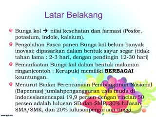 Latar Belakang
Bunga kol  nilai kesehatan dan farmasi (Posfor,
potasium, indole, kalsium).
Pengolahan Pasca panen Bunga kol belum banyak
inovasi; dipasarkan dalam bentuk sayur segar (tidak
tahan lama : 2-3 hari, dengan pendingin 12-30 hari)
Pemanfaatan Bunga kol dalam bentuk makanan
ringan(contoh : Kerupuk) memiliki BERBAGAI
keuntungan.
Menurut Badan Perencanaan Pembangunan Nasional
(Bapennas) jumlahpengangguran usia muda di
Indonesiamencapai 19,9 persen dengan rincian 50
persen adalah lulusan SD dan SMP, 30% lulusan
SMA/SMK, dan 20% lulusanperguruan tinggi.
 