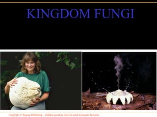 KINGDOM FUNGI




Copyright © Sugeng Publishing – silahkan gunakan slide ini untuk kemajuan bersama
 