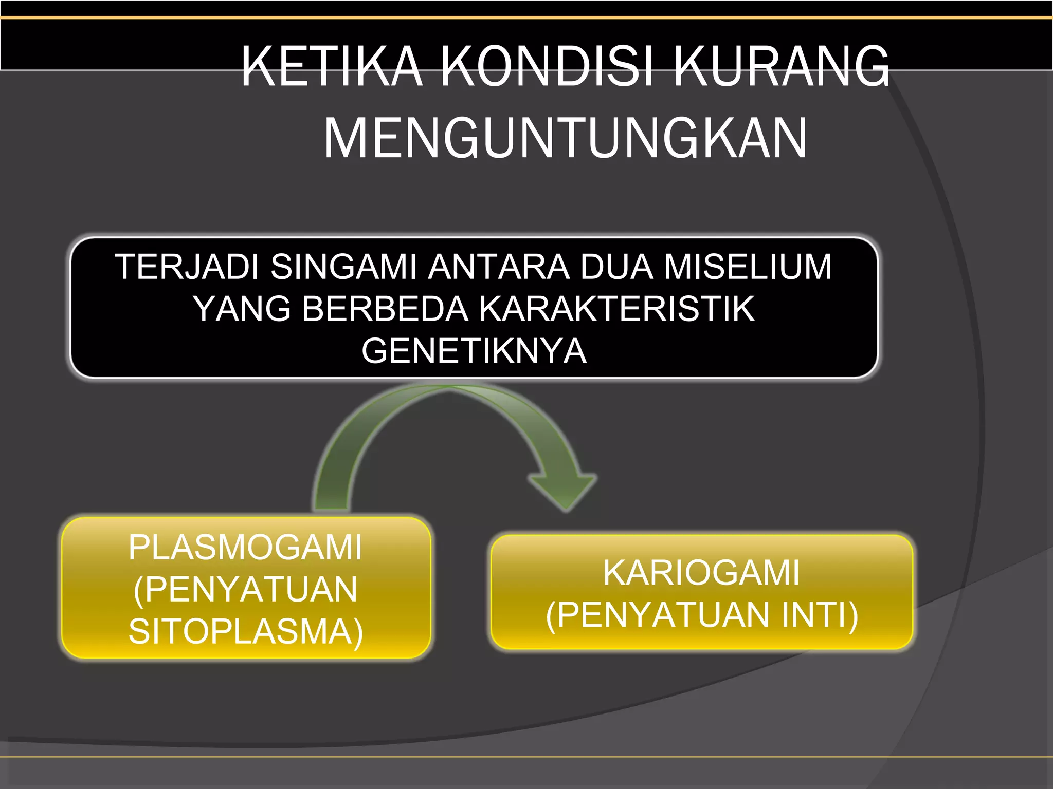 KETIKA KONDISI KURANG
        MENGUNTUNGKAN

TERJADI SINGAMI ANTARA DUA MISELIUM
   YANG BERBEDA KARAKTERISTIK
            GENETIKNYA




PLASMOGAMI
(PENYATUAN             KARIOGAMI
SITOPLASMA)         (PENYATUAN INTI)
 