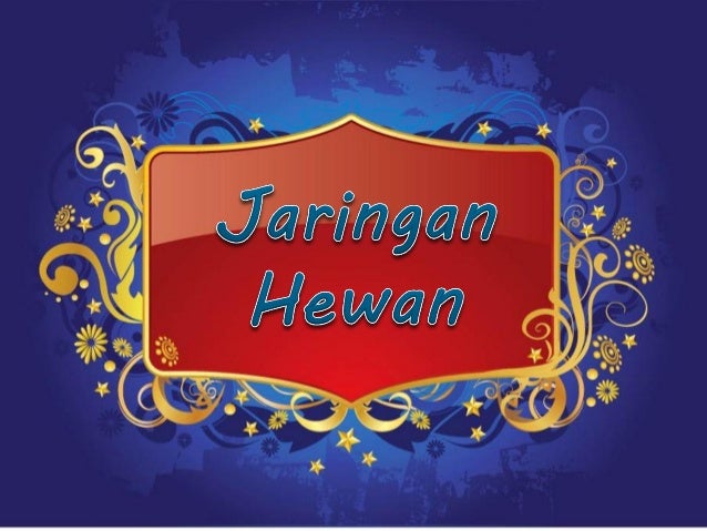 Presentasi jaringan  hewan  SMA