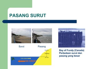 PASANG SURUT
Surut Pasang
Bay of Fundy (Canada)
Perbedaan surut dan
pasang yang besar
 