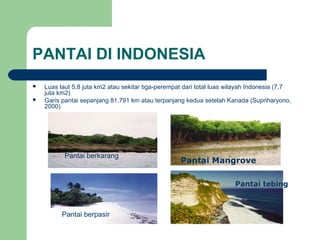 Pantai Mangrove
PANTAI DI INDONESIA
 Luas laut 5,8 juta km2 atau sekitar tiga-perempat dari total luas wilayah Indonesia (7,7
juta km2)
 Garis pantai sepanjang 81.791 km atau terpanjang kedua setelah Kanada (Supriharyono,
2000)
Pantai berpasir
Pantai tebing
Pantai berkarang
 