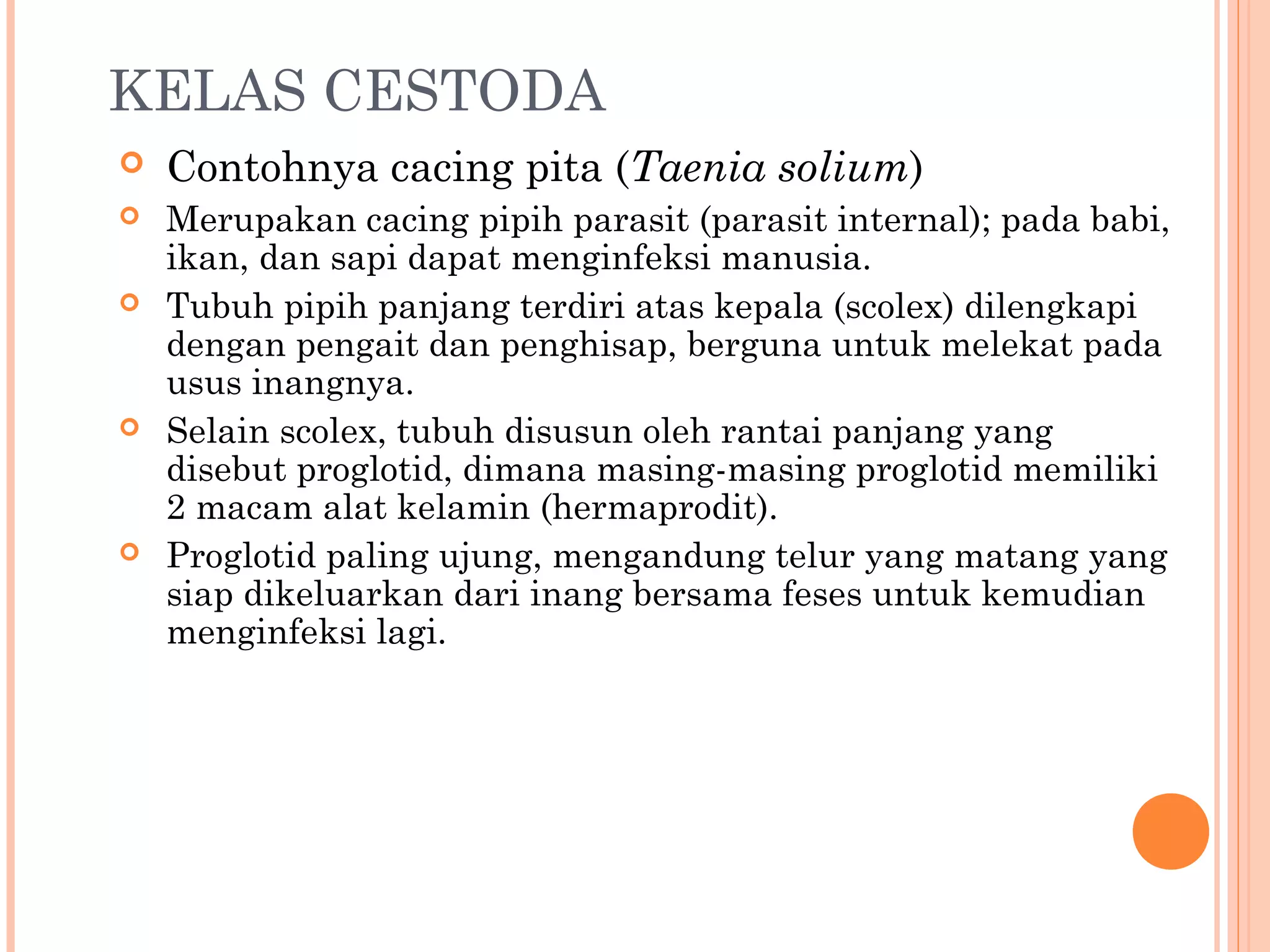 KELAS CESTODA
   Contohnya cacing pita (Taenia solium)
   Merupakan cacing pipih parasit (parasit internal); pada babi,
    ikan, dan sapi dapat menginfeksi manusia.
   Tubuh pipih panjang terdiri atas kepala (scolex) dilengkapi
    dengan pengait dan penghisap, berguna untuk melekat pada
    usus inangnya.
   Selain scolex, tubuh disusun oleh rantai panjang yang
    disebut proglotid, dimana masing-masing proglotid memiliki
    2 macam alat kelamin (hermaprodit).
   Proglotid paling ujung, mengandung telur yang matang yang
    siap dikeluarkan dari inang bersama feses untuk kemudian
    menginfeksi lagi.
 