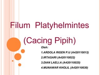 Filum Platyhelmintes
   (Cacing Pipih)
       Oleh:
       1.ARDOLA RIGEN P.U (A420110012)
       2.IRTASARI (A420110022)
       3.DIAN LAELI.A (A420110025)
       4.MUNAWAR KHOLIL (A420110030)
 