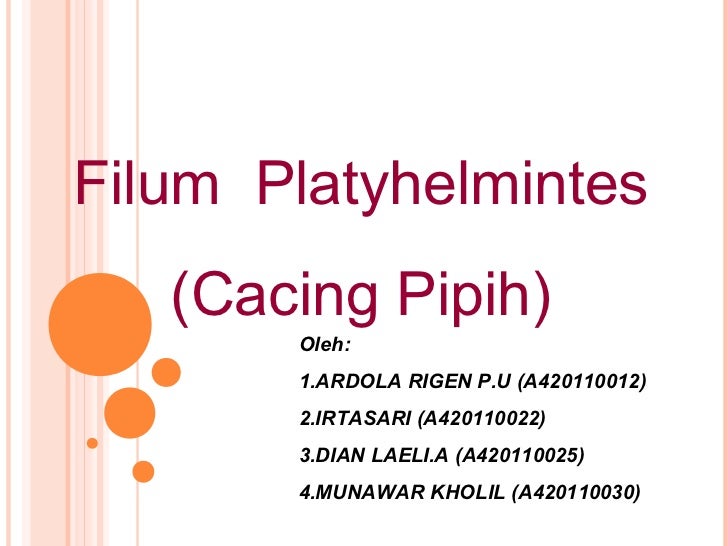 73 Gambar Reproduksi Cacing Pipih Paling Keren 73 Gambar Reproduksi Cacing Pipih Paling Keren