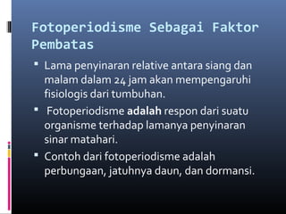 Fotoperiodisme Sebagai Faktor
Pembatas
 Lama penyinaran relative antara siang dan
  malam dalam 24 jam akan mempengaruhi
  fisiologis dari tumbuhan.
 Fotoperiodisme adalah respon dari suatu
  organisme terhadap lamanya penyinaran
  sinar matahari.
 Contoh dari fotoperiodisme adalah
  perbungaan, jatuhnya daun, dan dormansi.
 
