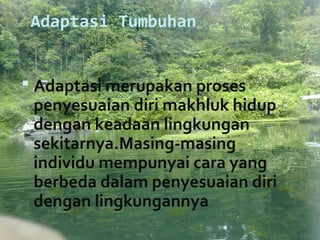 Adaptasi Tumbuhan


 Adaptasi merupakan proses 
 penyesuaian diri makhluk hidup 
 dengan keadaan lingkungan 
 sekitarnya.Masing-masing 
 individu mempunyai cara yang 
 berbeda dalam penyesuaian diri 
 dengan lingkungannya 
 