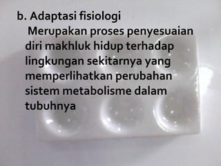 b. Adaptasi fisiologi
  Merupakan proses penyesuaian 
 diri makhluk hidup terhadap 
 lingkungan sekitarnya yang 
 memperlihatkan perubahan 
 sistem metabolisme dalam 
 tubuhnya
 