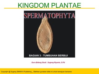KINGDOM PLANTAE Guru Bidang Studi : Sugeng Riyanto, S.Pd SPERMATOPHYTA BAGIAN 3 : TUMBUHAN BERBIJI 