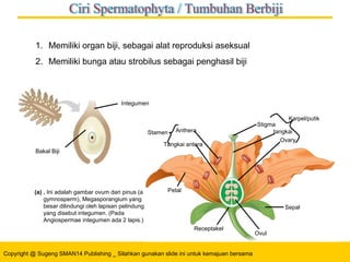 Copyright @ Sugeng SMAN14 Publishing _ Silahkan gunakan slide ini untuk kemajuan bersama
(a) . Ini adalah gambar ovum dari pinus (a
gymnosperm), Megasporangium yang
besar dilindungi oleh lapisan pelindung
yang disebut integumen. (Pada
Angiospermae integumen ada 2 lapis.)
Integumen
Bakal Biji
Anthera
Tangkai antera
Stigma
tangkai
Ovary
Karpel/putik
Petal
Receptakel
Ovul
Sepal
Stamen
1. Memiliki organ biji, sebagai alat reproduksi aseksual
2. Memiliki bunga atau strobilus sebagai penghasil biji
 