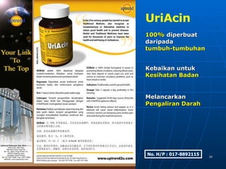 Presentasi Uptrend (Bm2)