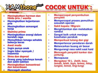 Meningkatkan hormon dan libido pria / wanita Meningkatkan kejantanan pria Meningkatkan semangat kerja Stamina prima Meningkatkan energi dalam berolah raga Memulihkan tenaga sehabis bekerja keras Awet muda Ingin punya anak Ingin tidur nyenyak / insomnia Stres dan depresi Orang yang tubuhnya lemah dan sakit-sakitan Meningkatkan konsentrasi dan kecerdasan Mencegah obesitas Mempercepat penyembuhan penyakit Mempercepat proses pemulihan sesudah operasi Sakit kepala / Migrain Menghitamkan dan melebatkan rambut Sangat baik untuk menjaga kesehatan perokok Memperkuat tulang dan gigi Memperlancar peredaran darah Melancarkan buang air besar Mengurangi rasa sakit saat haid Mencegah penyakit kanker dan jantung. Menopause Mengatasi 10 L  (letih, lesu, lemah, lelah, loyo, lemes, letoy, lunglai, lemot, ling-lung) 
