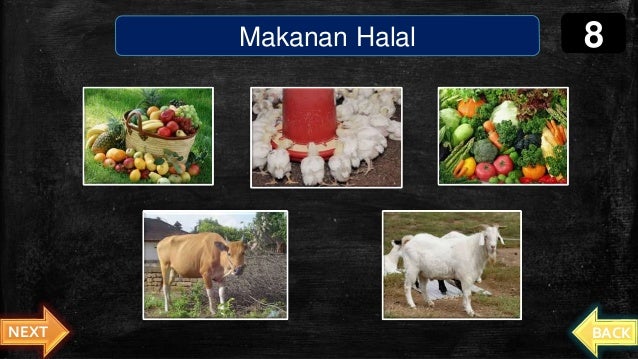 Contoh Gambar Makanan Halal Dan Penjelasannya - Gambar Keren Hits