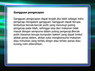 Gangguan pengecapan
Gangguan pengecapan dapat terjadi jika lidah sebagai indra
pengecap mengalami gangguan. Gangguan dapat berupa
timbulnya bercak-bercak putih yang menutupi puting
pengecap pada lidah, sehingga rasa dari makanan tidak
masuk dengan sempurna dalam puting pengecap.Bercak
putih biasanya berupa kumpulan bakteri yang dapat timbul
akibat panas dalam, akibat suka mengkonsumsi makanan
atau minuman yang terlalu dingin atau terlalu panas atau
kurang rutin dibersihkan.

 