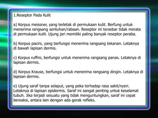 1.Reseptor Pada Kulit
a) Korpus meissner, yang terletak di permukaan kulit. Berfung untuk
menerima rangsang sentuhan/rabaan. Reseptor ini tersebar tidak merata
di permukaan kulit. Ujung jari memiliki paling banyak reseptor peraba.
b) Korpus pacini, yang berfungsi menerima rangsang tekanan. Letaknya
di bawah lapisan dermis.
c) Korpus ruffini, berfungsi untuk menerima rangsang panas. Letaknya di
lapisan dermis.
d) Korpus Krause, berfungsi untuk menerima rangsang dingin. Letaknya di
lapisan dermis.
e) Ujung saraf tanpa selaput, yang peka terhadap rasa sakit/nyeri.
Letaknya di lapisan epidermis. Saraf ini sangat penting untuk keselamat
tubuh. Jika terjadi sesuatu yang tidak menguntungkan, saraf ini cepat
bereaksi, antara lain dengan ada gerak refleks.

 