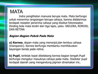 MATA
Indra penglihatan manusia berupa mata. Mata berfungsi
untuk menerima rangsangan berupa cahaya, karena didalamnya
terdapat reseptor penerima cahaya yang disebut fotoreseptor.
Dinding bola mata terdiri dari tiga lapis, yaitu: SKELERA, KOROID,
DAN RETINA

Bagian-Bagian Pokok Pada Mata
a) Kornea, depan mata yang menonjol,dan tembus cahaya
(transparan). Kornea berfungsi membantu memfokuskan
bayangan benda pada retina.
b) Pupil, terletak tepat dibelakang kornea bagian tengah.Pupil
berfungsi mengatur masuknya cahaya pada mata. Disekitar pupil
terdapat daerah yang mengandung pigmen dinamakan iris..

 