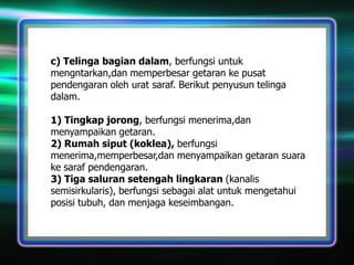 c) Telinga bagian dalam, berfungsi untuk
mengntarkan,dan memperbesar getaran ke pusat
pendengaran oleh urat saraf. Berikut penyusun telinga
dalam.
1) Tingkap jorong, berfungsi menerima,dan
menyampaikan getaran.
2) Rumah siput (koklea), berfungsi
menerima,memperbesar,dan menyampaikan getaran suara
ke saraf pendengaran.
3) Tiga saluran setengah lingkaran (kanalis
semisirkularis), berfungsi sebagai alat untuk mengetahui
posisi tubuh, dan menjaga keseimbangan.

 