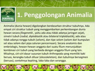 1. Penggolongan Animalia
Animalia (dunia hewan) digolongkan berdasarkan struktur tubuhnya. Ada
empat ciri struktur tubuh yang menggambarkan perkembangan dunia
hewan secara filogenetik , yaitu ada atau tidak adanya jaringan sejati,
simetri tubuh (radial, diploblastik atau bilateral triploblastik), ada atau
tidak adanya rongga tubuh (selom), dan tipe selom (selom dari kumpulan
sel atau selom dari pipa saluran pencernaan). Secara anatomis dan
embriologis, hewan-hewan anggota dari suatu filum menunjukkan
kombinasi ciri tubuh yang berbeda dengan anggota filum yang lain.
Misalnya, ciri-ciri dasar susunan tubuh Arthropoda yang memiliki kaki
beruas, kerangka tubuh diluar (eksoskeleton), dan tubuhnya bersegmen
(beruas), contohnya kepiting, laba-laba dan serangga.
 