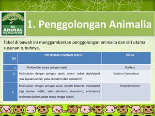 1. Penggolongan Animalia
Tabel di bawah ini menggambarkan penggolongan animalia dan ciri utama
susunan tubuhnya.
NO
CIRI UTAMA SUSUNAN TUBUH FILUM
1. Multiseluler tanpa jaringan sejati Porifera
2. Multiseluler dengan jaringan sejati, simetri radial, diploblastik
(dua lapisan nutfah, yaitu ektoderm dan endoderm)
Cnidaria Ctenophora
3
Multiseluler dengan jaringan sejati, simetri bilateral, triploblastik
(tiga lapisan nutfah, yaitu ektoderm, mesoderm, endoderm),
aselomata (tubuh padat tanpa rongga tubuh)
Platyhelminthes
 