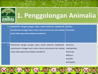 1. Penggolongan Animalia
4 Multiseluler dengan jaringan sejati, simetri bilateral, triploblastik,
pseudoselom (rongga tubuh antara saluran pencernaan dan dinding
tubuh tidak sepenuhnya dilapisi mesoderm)
Rotifera
Nematoda
5 Multiseluler dengan jaringan sejati, simetri bilateral, triploblastik,
pseudoselom (rongga tubuh antara saluran pencernaan dan dinding
tubuh tidak sepenuhnya dilapisi mesoderm)
Nemertea
Lophophorata
Phoronida
Mollusca
Annelida
Arthropoda
 