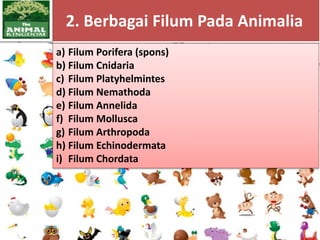 2. Berbagai Filum Pada Animalia
a) Filum Porifera (spons)
b) Filum Cnidaria
c) Filum Platyhelmintes
d) Filum Nemathoda
e) Filum Annelida
f) Filum Mollusca
g) Filum Arthropoda
h) Filum Echinodermata
i) Filum Chordata
 