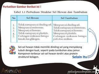 Sel-sel hewan tidak memiliki dinding sel yang menyokong
tubuh dengan kuat, seperti pada tumbuhan atau jamur.
Komponen terbesar sel-sel hewan terdiri atas protein
struktural kolagen.
 