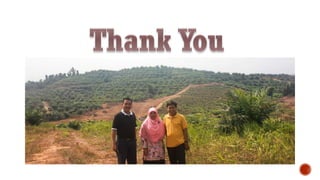 Oil Palm Adaptive Landscape: With special reference to Indonesia cases