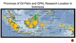 Oil Palm Adaptive Landscape: With special reference to Indonesia cases