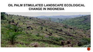 Oil Palm Adaptive Landscape: With special reference to Indonesia cases